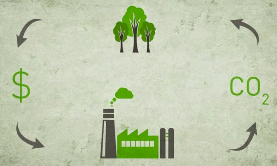 Imagen que representa el circuito del sistema de bonos de carbono